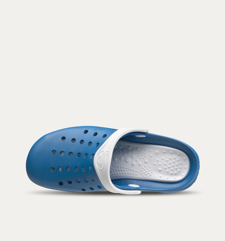 Kinetic-azul-electrico-blanco-Planta